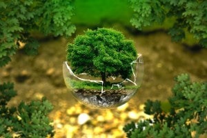 Historias ambientales que afectan a nuestro planeta
